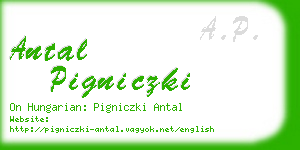 antal pigniczki business card